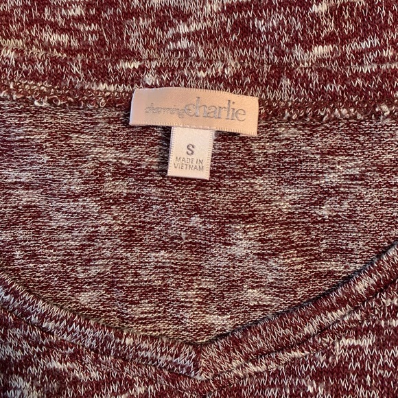 *Donated* Charming Charlie V-Neck Sweater - Picture 5 of 9